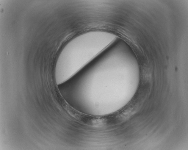 X0000076300216200609290737