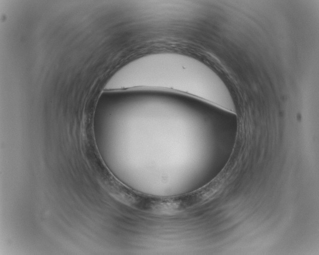 X0000076300217200609290737