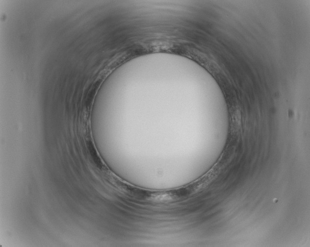 X0000076300218200609290737