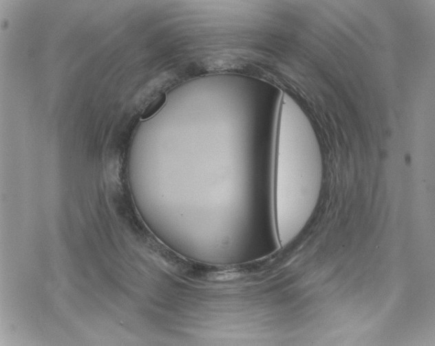 X0000076300219200609290737