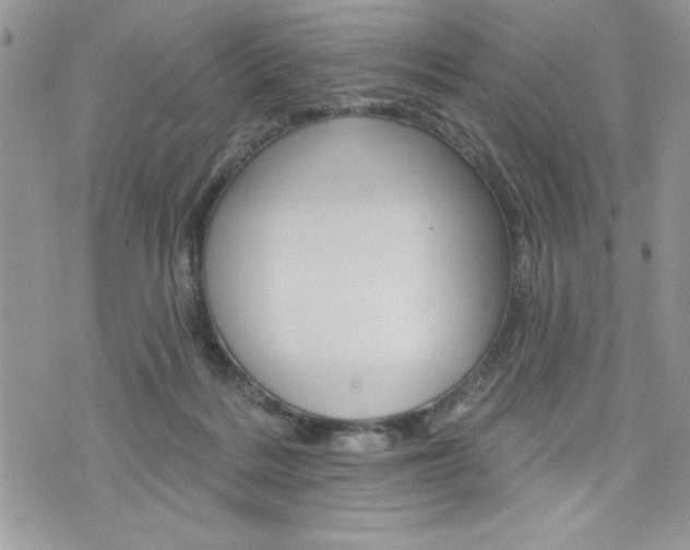 X0000076300220200609290737