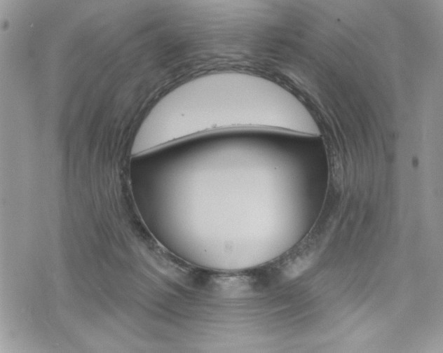 X0000076300221200609290737