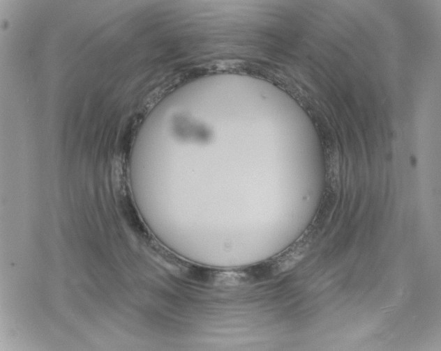 X0000076300222200609290737