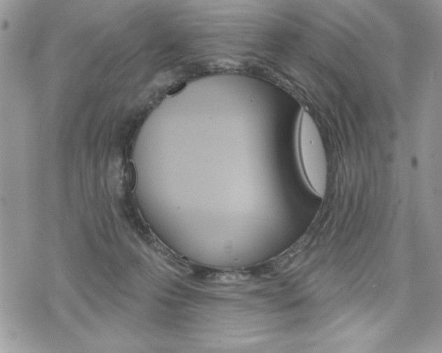 X0000076300223200609290737