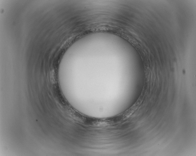 X0000076300224200609290737