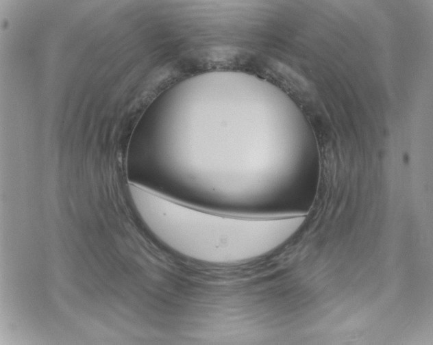 X0000076300225200609290737