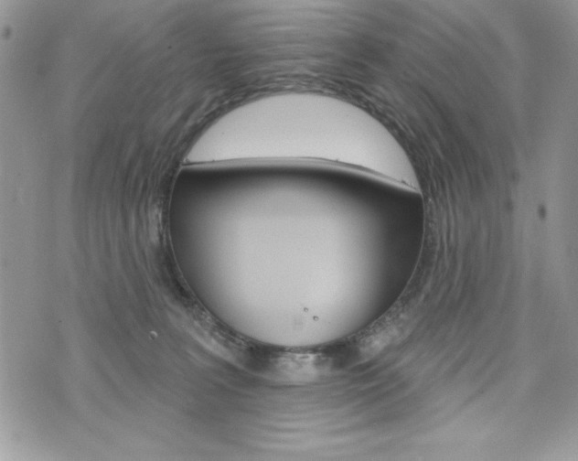 X0000076300227200609290737