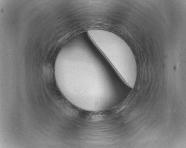 X0000076300228200609290737