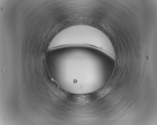 X0000076300229200609290737