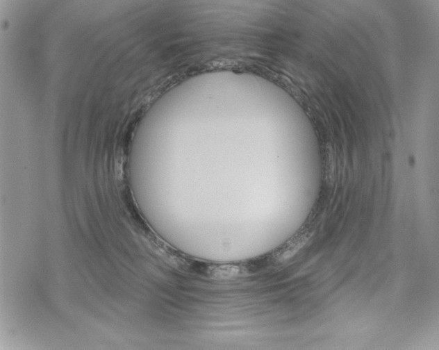 X0000076300230200609290737