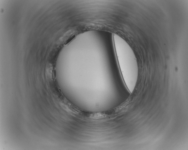 X0000076300231200609290737