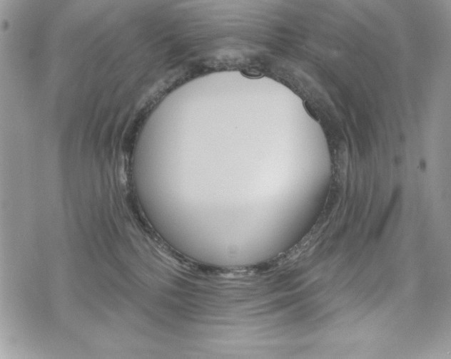 X0000076300232200609290737