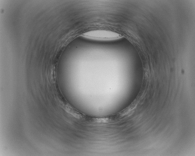 X0000076300233200609290737