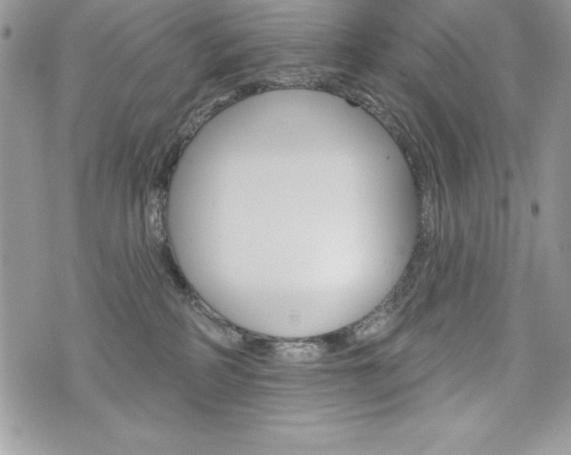 X0000076300234200609290737