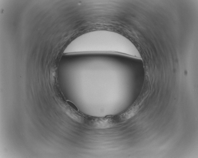 X0000076300235200609290737