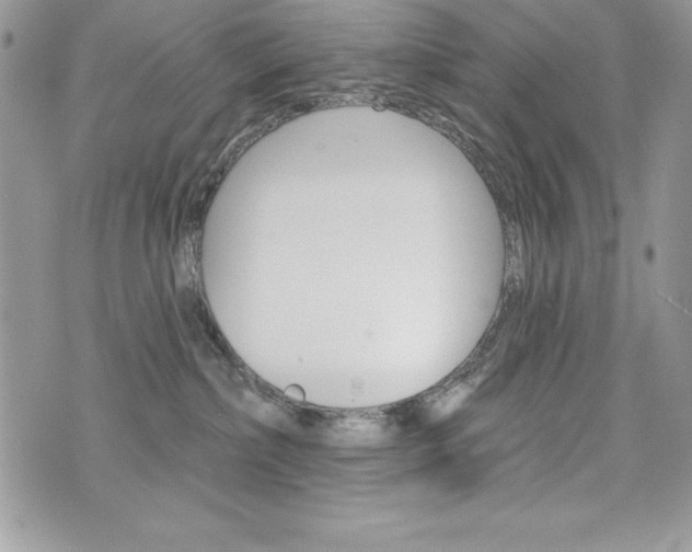 X0000076300236200609290737