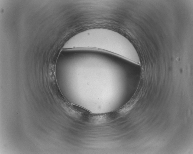 X0000076300237200609290737