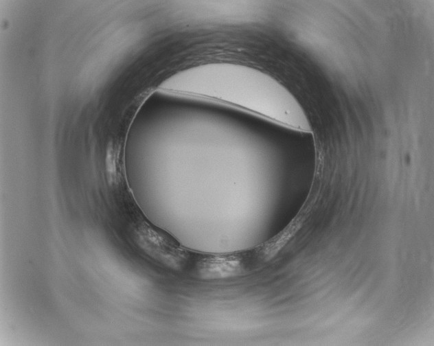 X0000076300239200609290737