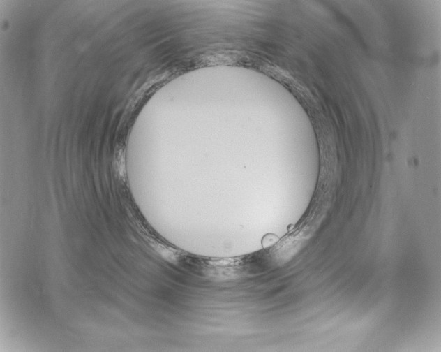 X0000076300240200609290737