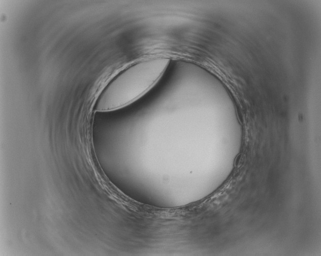 X0000076300241200609290736