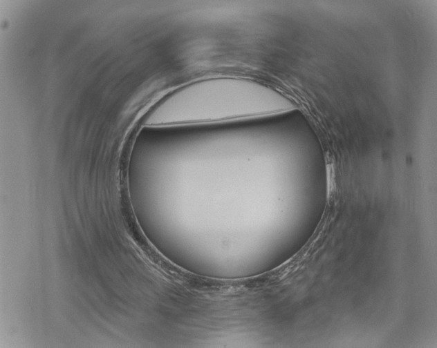 X0000076300243200609290736