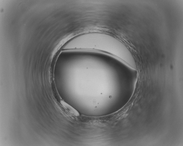 X0000076300244200609290736