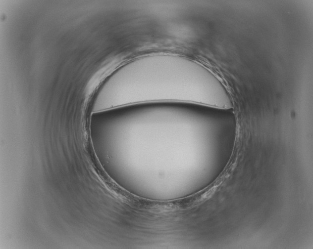 X0000076300245200609290736