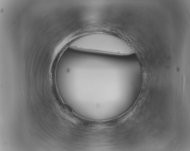 X0000076300246200609290736