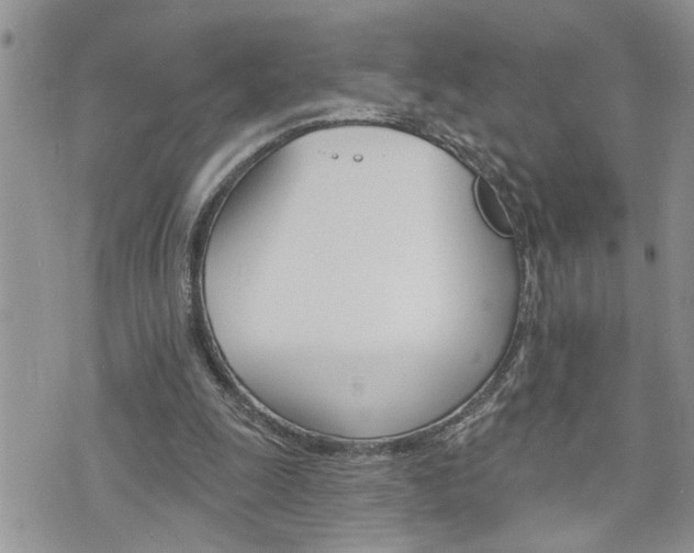 X0000076300247200609290736