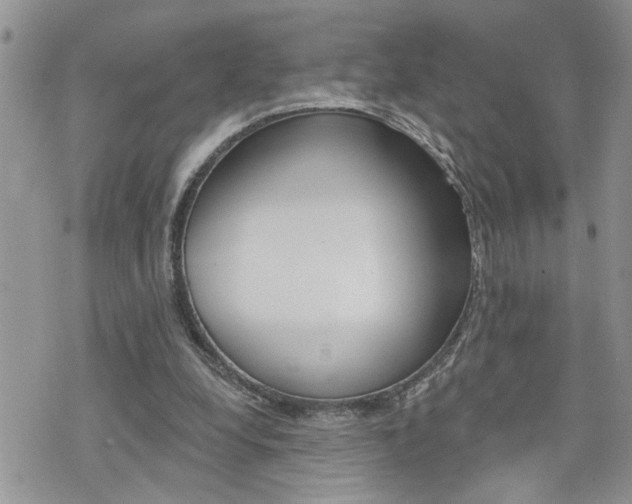 X0000076300248200609290736