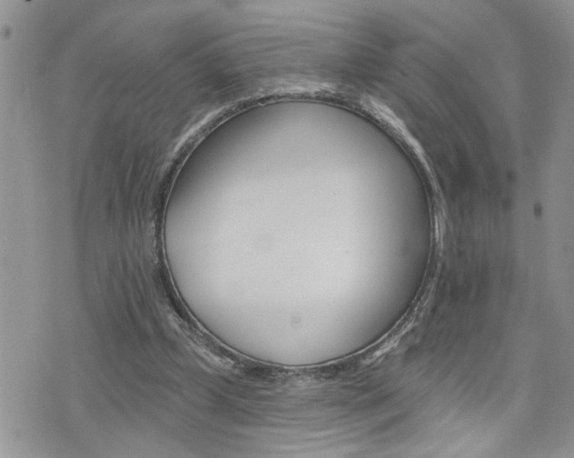 X0000076300249200609290736