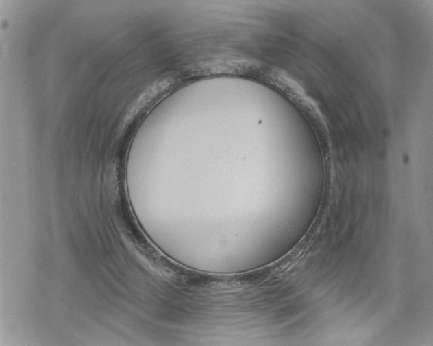 X0000076300250200609290736