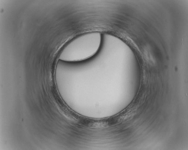 X0000076300251200609290736