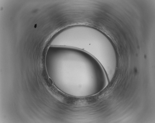 X0000076300252200609290736