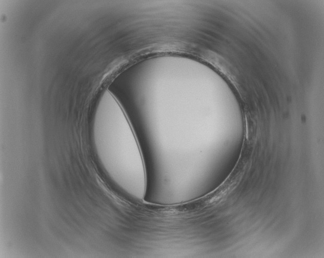 X0000076300253200609290736