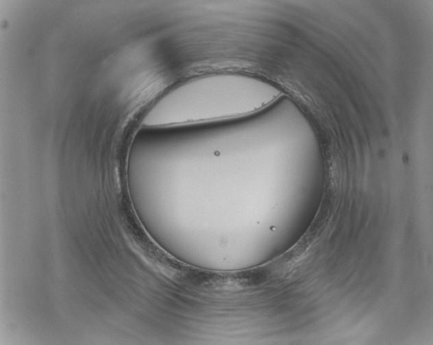 X0000076300254200609290736