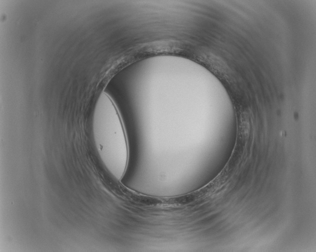 X0000076300255200609290736