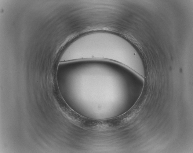 X0000076300256200609290736