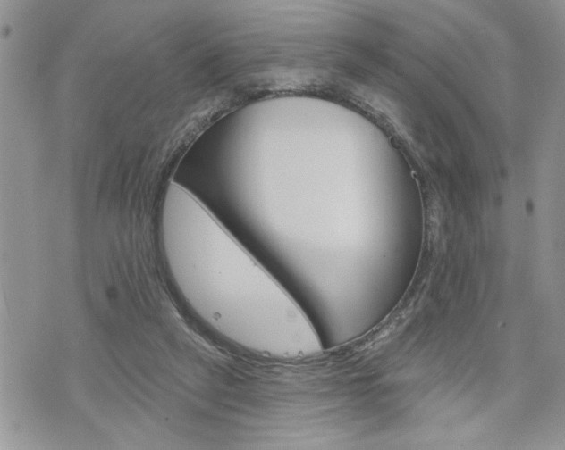 X0000076300257200609290736