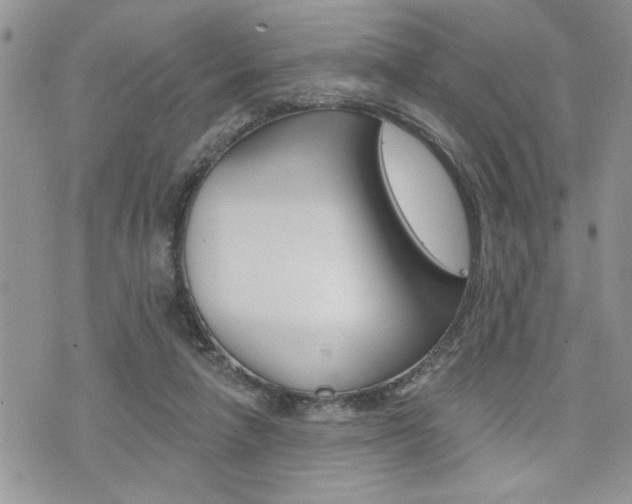 X0000076300258200609290736