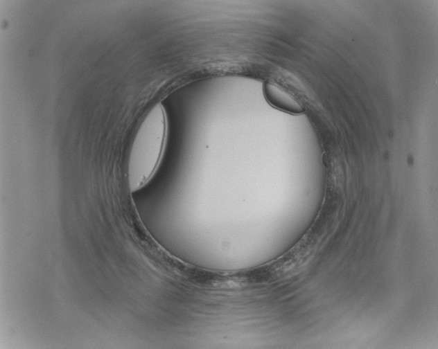 X0000076300259200609290736