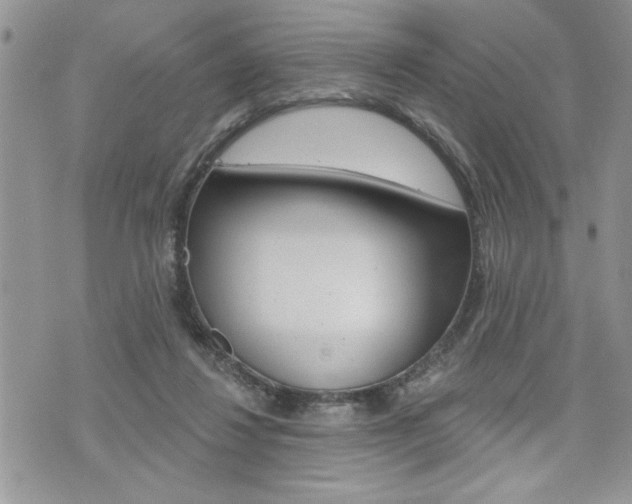 X0000076300260200609290736