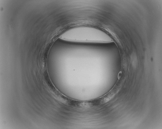 X0000076300261200609290736