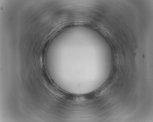 X0000076300262200609290736