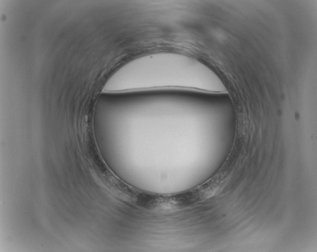 X0000076300263200609290736