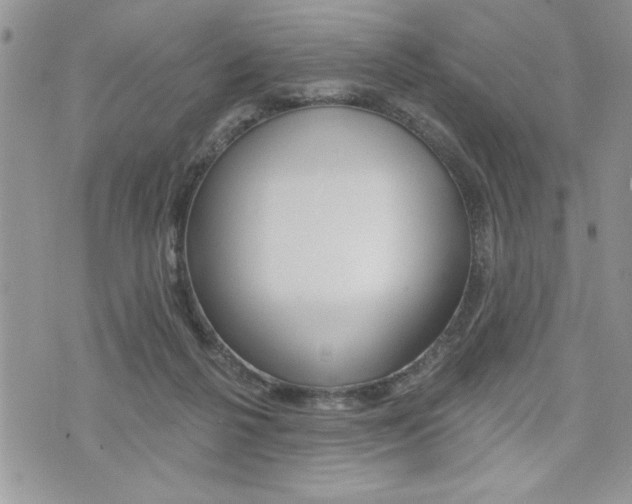 X0000076300264200609290736