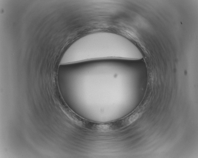 X0000076300265200609290736