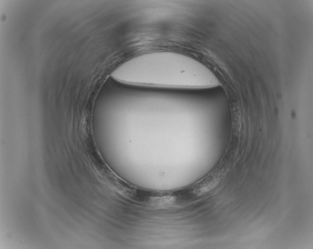 X0000076300266200609290736