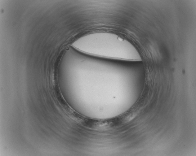 X0000076300267200609290736