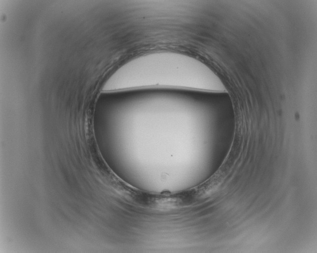 X0000076300268200609290736